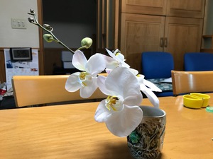 無知なばかりに
