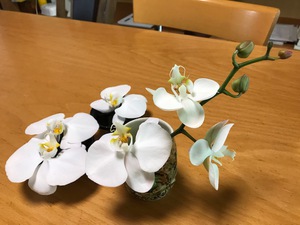 蘭のオブジェ