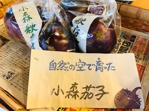 小森秋なす