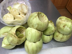 連日の宿題