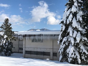 信濃町の雪