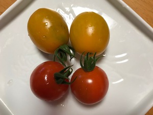 初採り