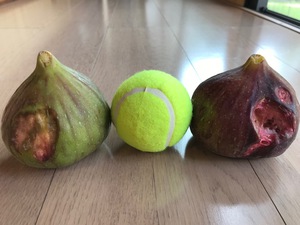 表と裏