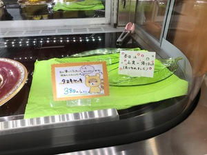 タヌキはお山に
