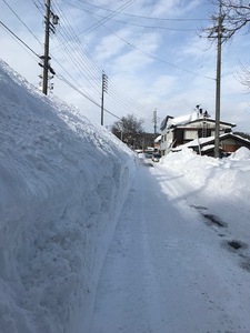 信濃町の雪