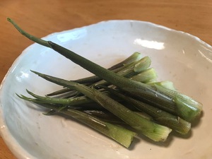 朝から修理屋さん