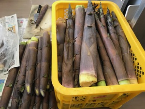 淡竹の荷