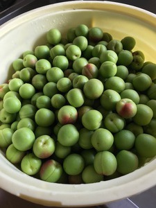 今度は青梅の荷
