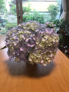 梅雨が終わって・・・