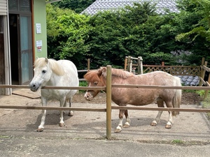 恒例の慰労会