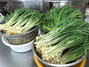 しばらく見たくない