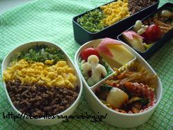 ３色そぼろご飯弁当