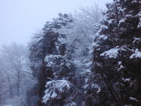 雪だ～