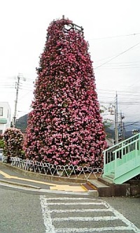 なかのバラまつり