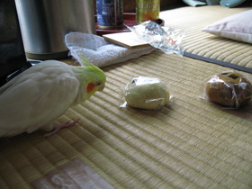 ムーちゃん