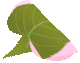 きょうはお休みです