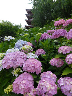 雨の朝