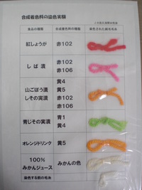 染色実験