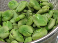 蚕豆Ver.2