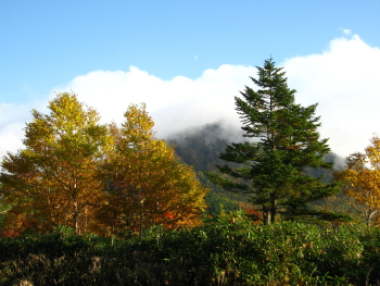 万座の紅葉
