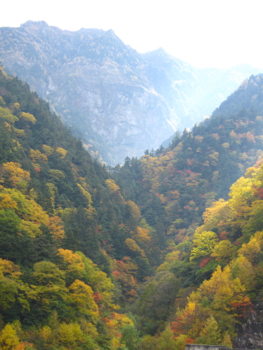高瀬川渓谷