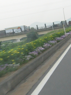 好きな道