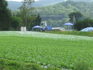 菅平