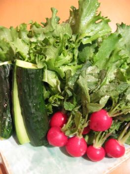 緑が濃い野菜