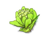 ２月のおやき