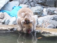 初詣＆新年の歩き