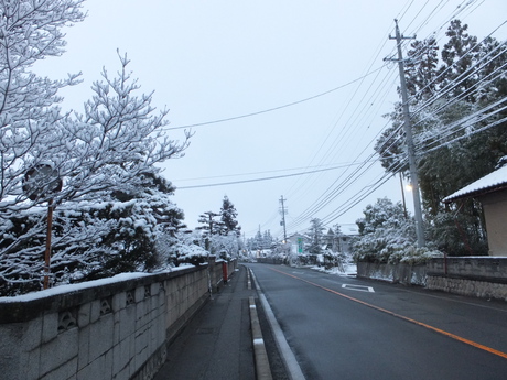 早朝に降ったか、屋根・木々に雪が積もった