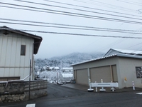 早朝に降ったか、屋根・木々に雪が積もった