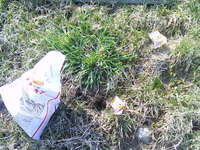 野ネズミ退治のヤソジオンをネズミの穴に、田圃の畦周りのおこし 2024/04/03 06:11:15
