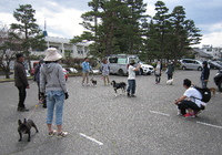 飼い主さんがわんことお散歩しながら学ぶ！「犬を理解する」しつけ教室