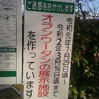 オランウータン展示施設／工事現場／茶臼山動物園内２０年１月２日