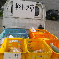 軽トラ市／博物館まつり／信州新町化石博物館前庭