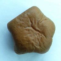 星のパンチョコレート味１００円／高山村清水ベーカリー