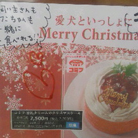 ドッグサロンクラーレさんでワンちゃんも食べれるクリスマスケーキ販売