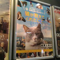 犬派の僕も大満足／寒さも疲れも猫の可愛さに癒される／映画猫が教えてくれたこと
