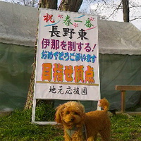 愛犬と犀川河川敷を散歩／１８年３月２４日午後５時頃