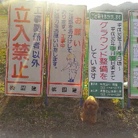 愛犬と犀川河川敷工事現場／１８年３月２４日午後５時頃