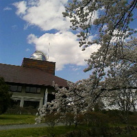 長野市立博物館の桜／１８年４月８日午後３時頃