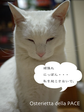 絶対に勝つっ!!!