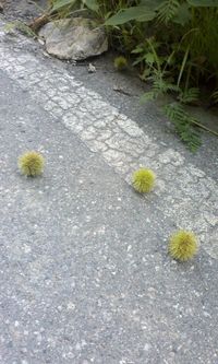 ご無沙汰日記～♪