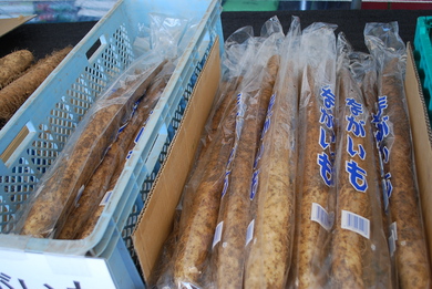 長芋入荷です。