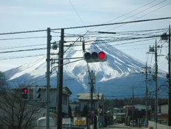 吉田のうどん