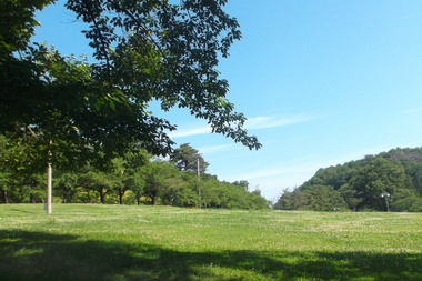 城山公園展望台（まとめ）