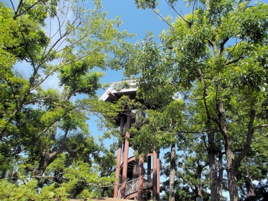 城山公園展望台（まとめ）