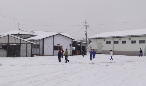 雪の朝