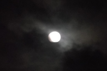良夜かな